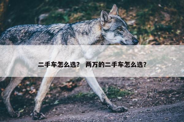 二手车怎么选？ 两万的二手车怎么选？