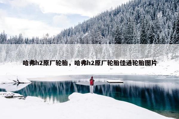 哈弗h2原厂轮胎，哈弗h2原厂轮胎佳通轮胎图片
