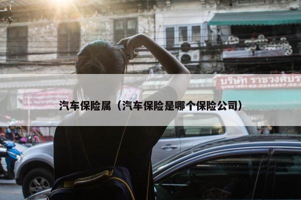 汽车保险属（汽车保险是哪个保险公司）