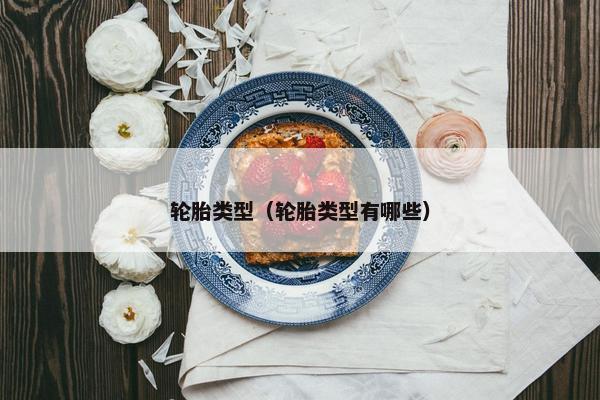 轮胎类型（轮胎类型有哪些）