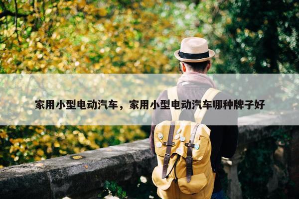 家用小型电动汽车，家用小型电动汽车哪种牌子好