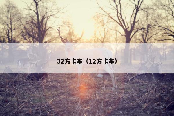 32方卡车（12方卡车）