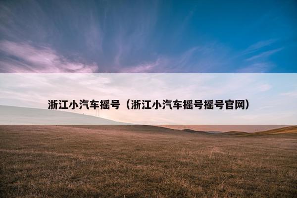 浙江小汽车摇号（浙江小汽车摇号摇号官网）
