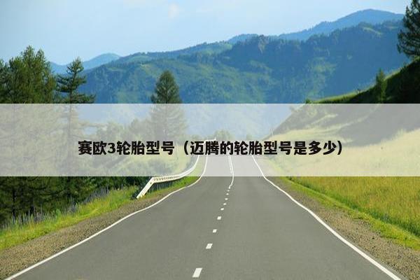赛欧3轮胎型号（迈腾的轮胎型号是多少）