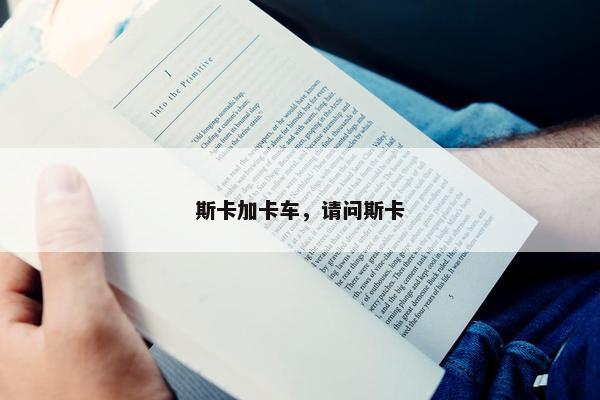 斯卡加卡车，请问斯卡
