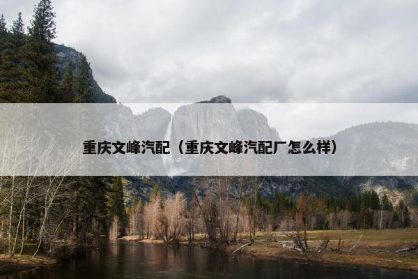 重庆文峰汽配（重庆文峰汽配厂怎么样）