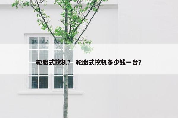轮胎式挖机？ 轮胎式挖机多少钱一台？