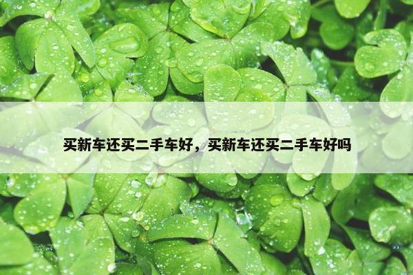买新车还买二手车好，买新车还买二手车好吗