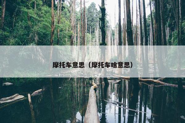 摩托车意思（摩托车啥意思）