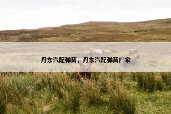 丹东汽配弹簧，丹东汽配弹簧厂家