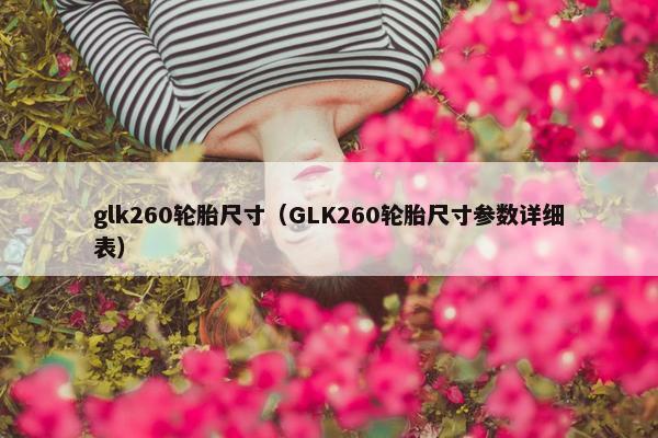 glk260轮胎尺寸（GLK260轮胎尺寸参数详细表）