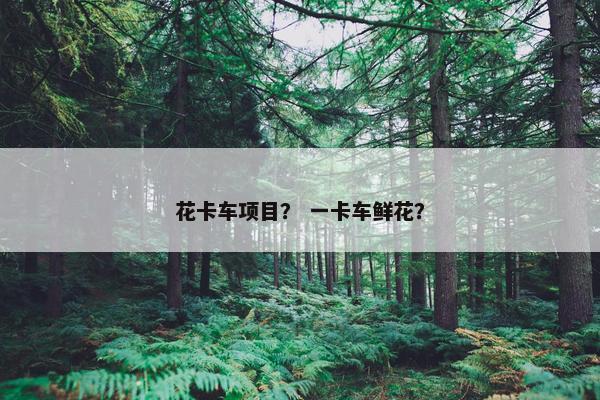 花卡车项目？ 一卡车鲜花？
