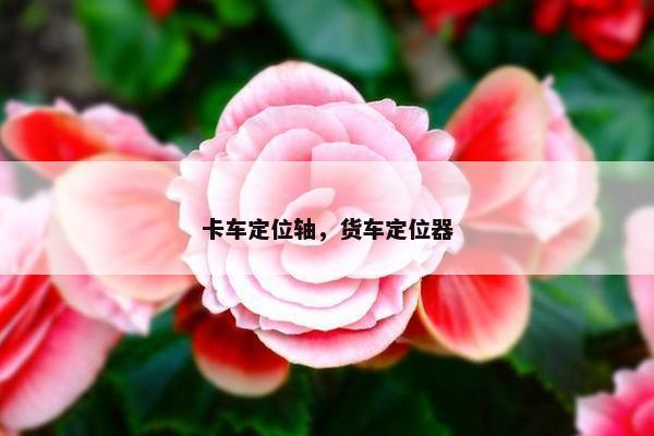 卡车定位轴，货车定位器
