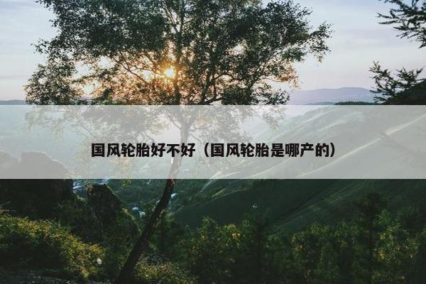 国风轮胎好不好（国风轮胎是哪产的）