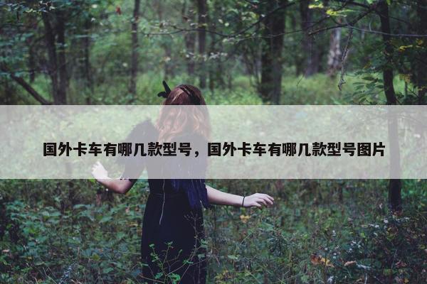 国外卡车有哪几款型号，国外卡车有哪几款型号图片