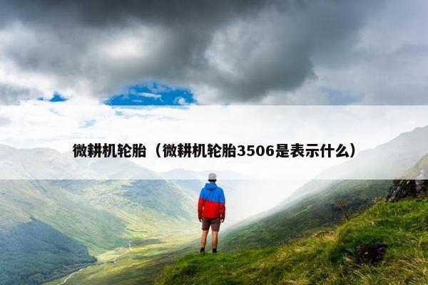 微耕机轮胎（微耕机轮胎3506是表示什么）