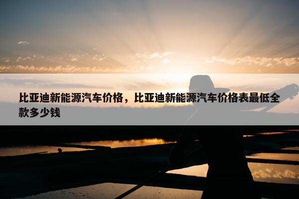 比亚迪新能源汽车价格，比亚迪新能源汽车价格表最低全款多少钱