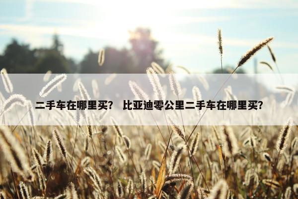 二手车在哪里买？ 比亚迪零公里二手车在哪里买？