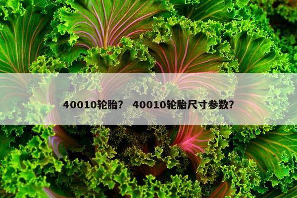 40010轮胎？ 40010轮胎尺寸参数？