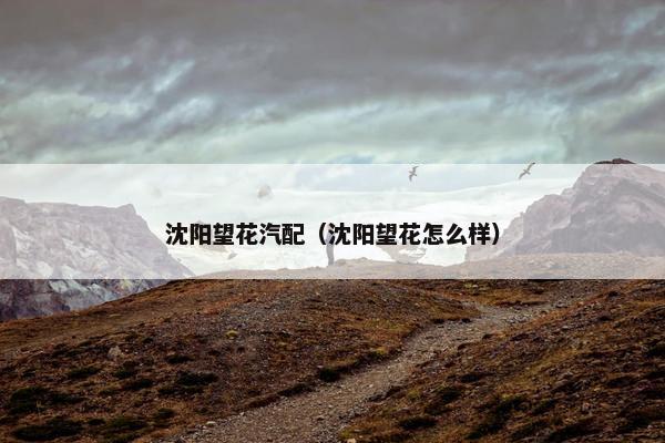 沈阳望花汽配（沈阳望花怎么样）