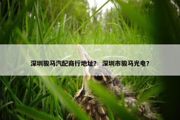 深圳骏马汽配商行地址？ 深圳市骏马光电？