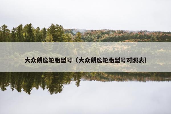 大众朗逸轮胎型号（大众朗逸轮胎型号对照表）