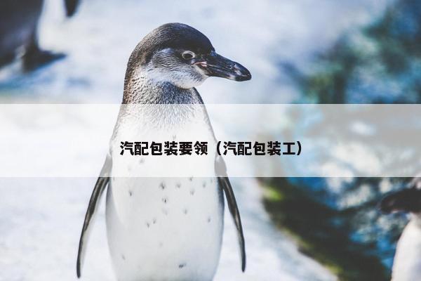 汽配包装要领（汽配包装工）