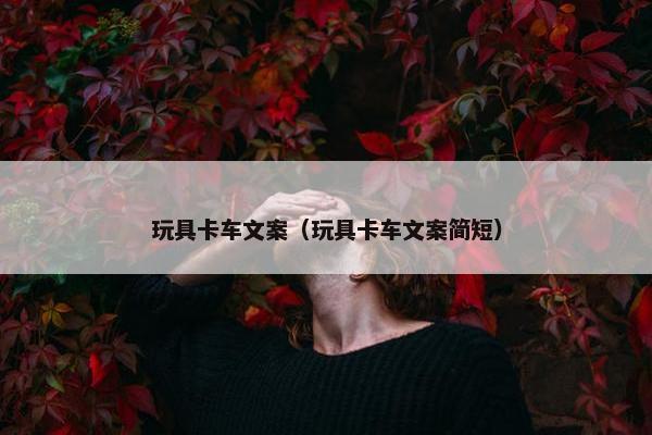 玩具卡车文案（玩具卡车文案简短）