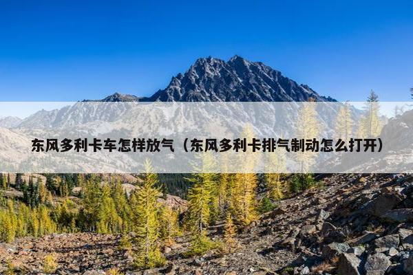 东风多利卡车怎样放气（东风多利卡排气制动怎么打开）