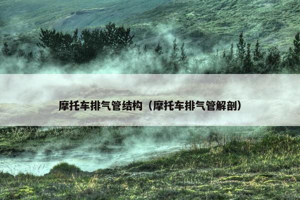 摩托车排气管结构（摩托车排气管解剖）