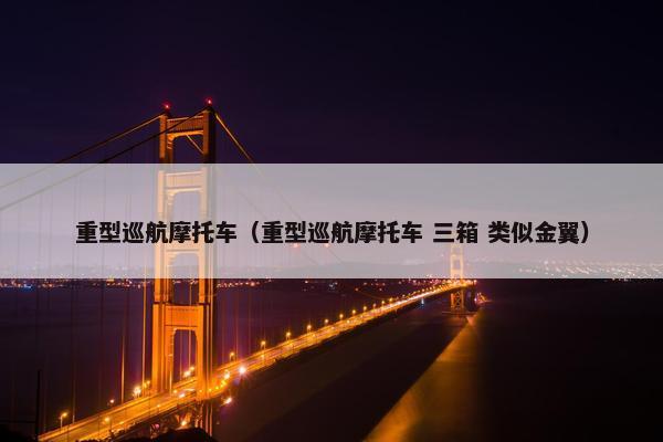 重型巡航摩托车（重型巡航摩托车 三箱 类似金翼）