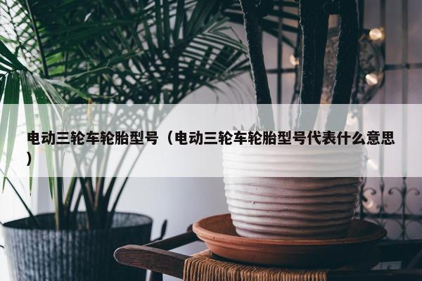 电动三轮车轮胎型号（电动三轮车轮胎型号代表什么意思）