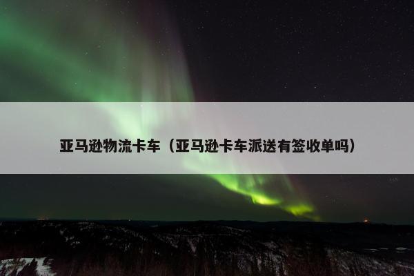 亚马逊物流卡车（亚马逊卡车派送有签收单吗）