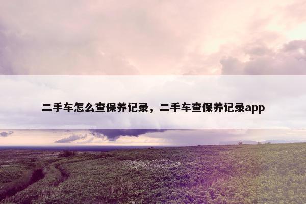 二手车怎么查保养记录，二手车查保养记录app