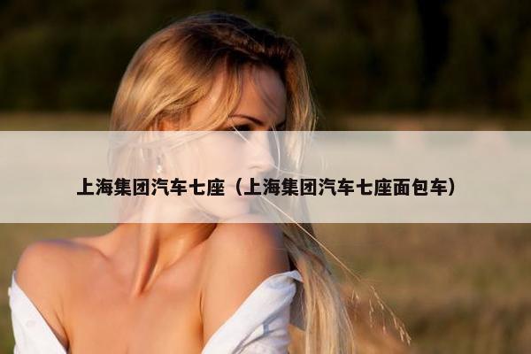 上海集团汽车七座（上海集团汽车七座面包车）