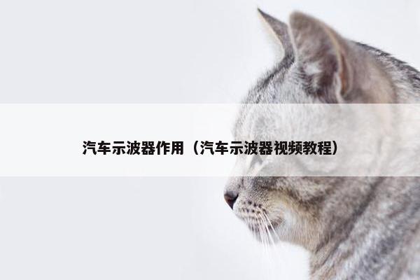 汽车示波器作用（汽车示波器视频教程）
