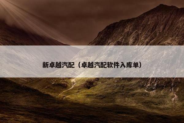 新卓越汽配（卓越汽配软件入库单）