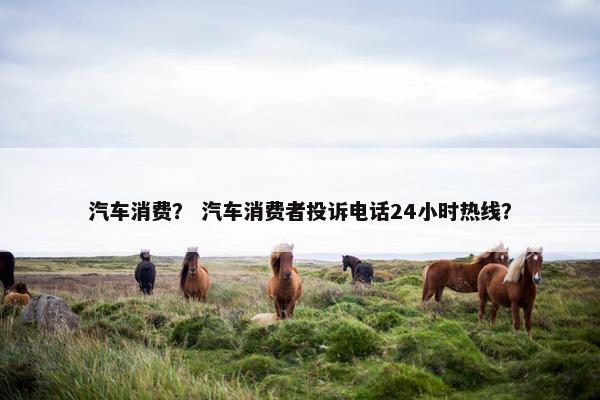 汽车消费？ 汽车消费者投诉电话24小时热线？