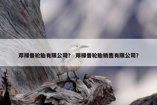 邓禄普轮胎有限公司？ 邓禄普轮胎销售有限公司？