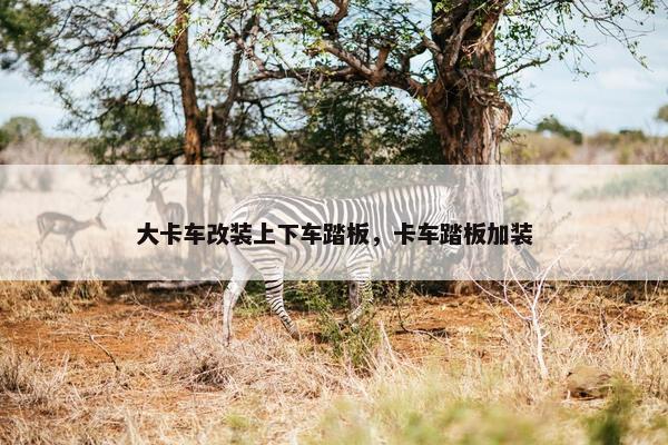大卡车改装上下车踏板，卡车踏板加装