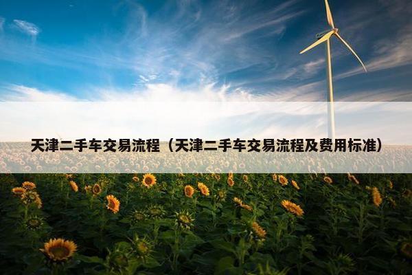 天津二手车交易流程（天津二手车交易流程及费用标准）