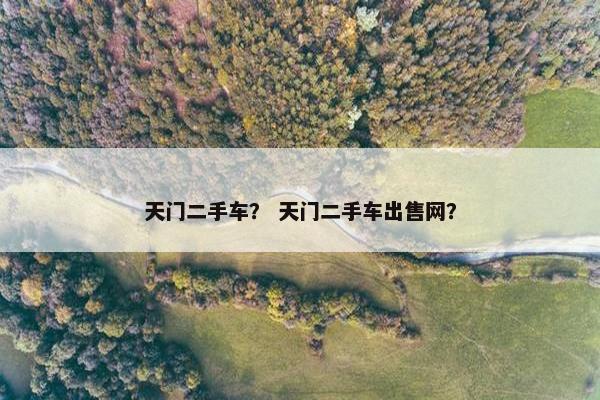 天门二手车？ 天门二手车出售网？