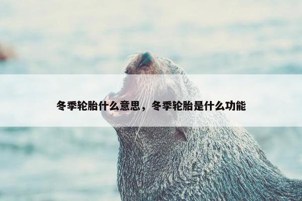 冬季轮胎什么意思，冬季轮胎是什么功能