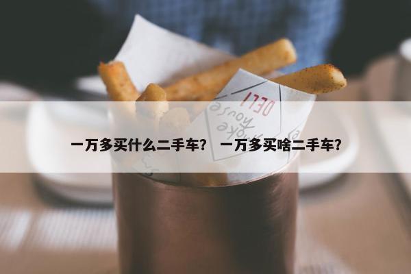 一万多买什么二手车？ 一万多买啥二手车？