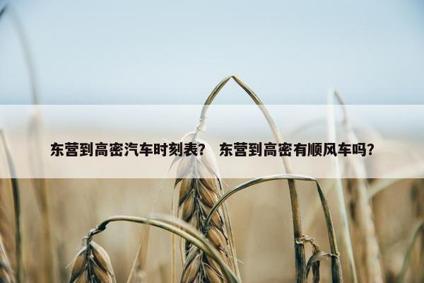 东营到高密汽车时刻表？ 东营到高密有顺风车吗？