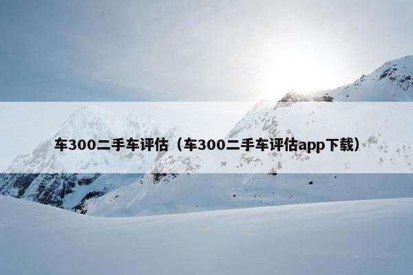 车300二手车评估（车300二手车评估app下载）