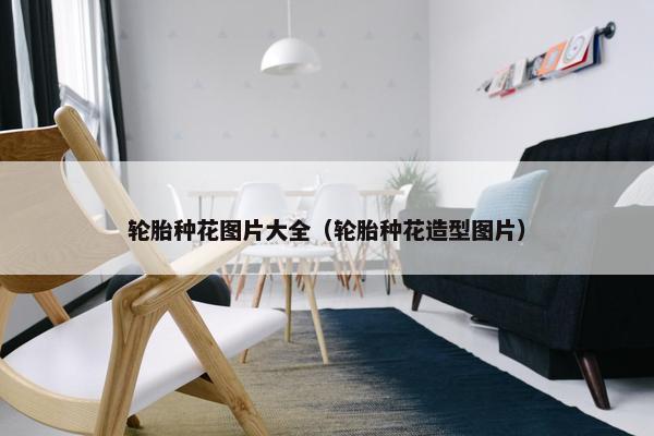 轮胎种花图片大全（轮胎种花造型图片）