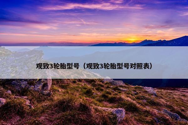 观致3轮胎型号（观致3轮胎型号对照表）