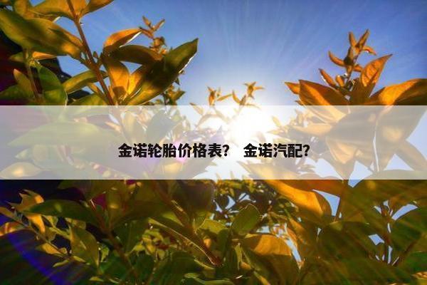 金诺轮胎价格表？ 金诺汽配？