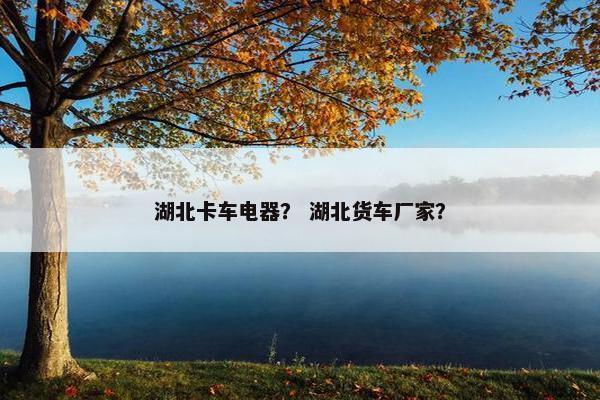 湖北卡车电器？ 湖北货车厂家？